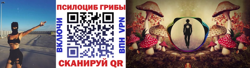 Псилоцибиновые грибы Magic Shrooms  Купить  Красный Кут 